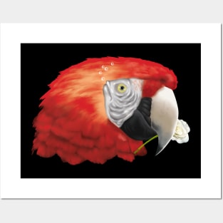 Macaw Fish Posters and Art